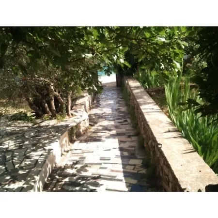 Jauca * Τρογκίρ